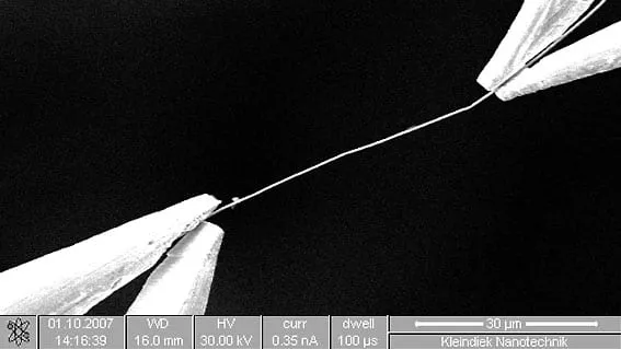 SEM image of a thin wire held taut between the two tungsten jaw tips of the MGS2, 30 µm scale bar.