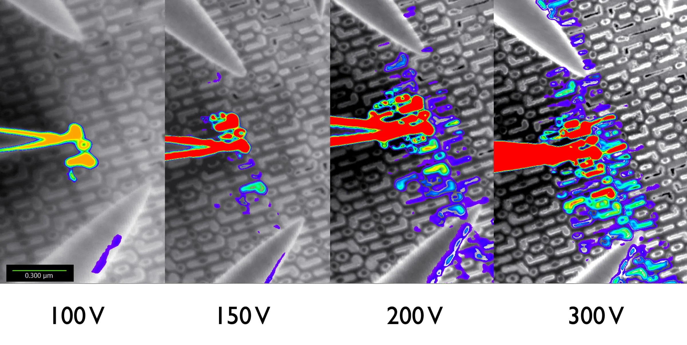Four-panel current map of a probe tip contacting a metal grid at 100 V to 300 V bias, the current spread widening with voltage.