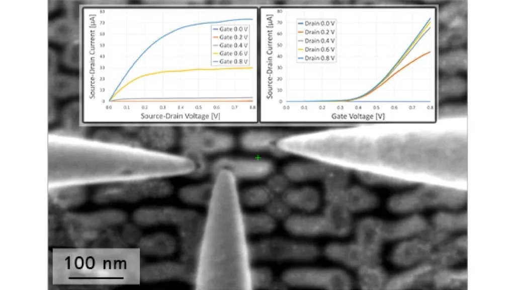 SEM image of two probe tips landed on a device, with inset output and transfer characteristic graphs.