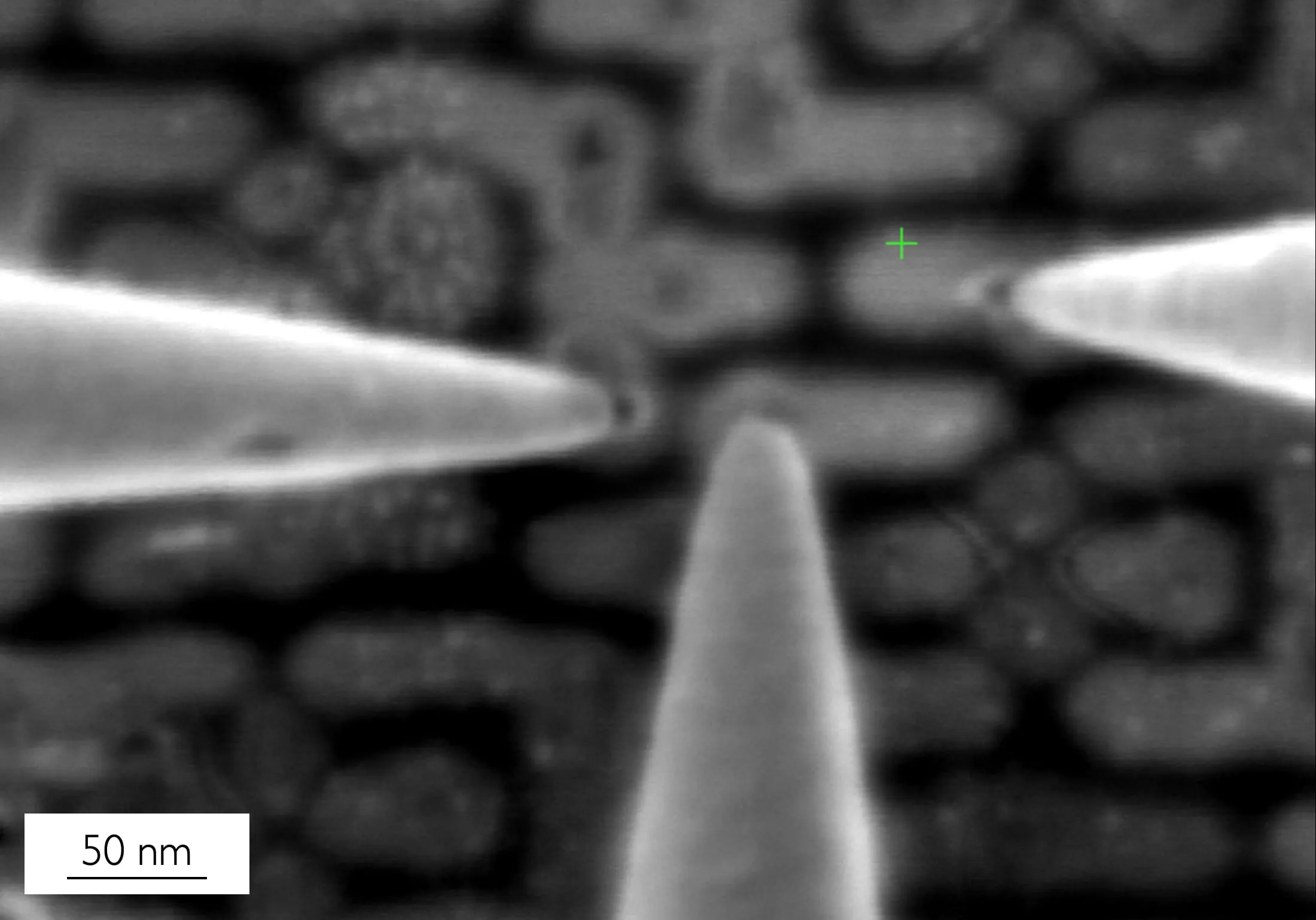 SEM image of three nanoprobe tips contacting a patterned device, 50 nm scale bar.