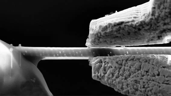 Close-up SEM image of the two MGS2 jaw tips clamped firmly on either side of a thin lamella.