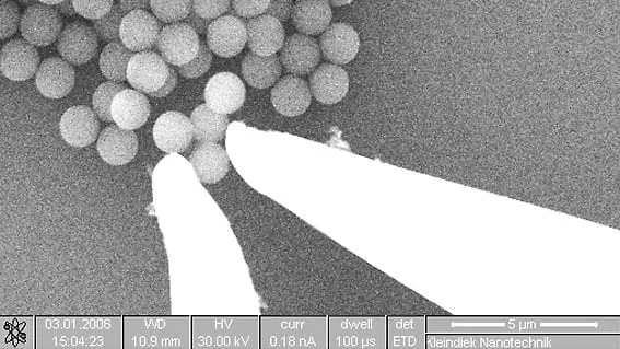 SEM image of the MGS2 micro-gripper approaching a cluster of microspheres, 5 µm scale bar.