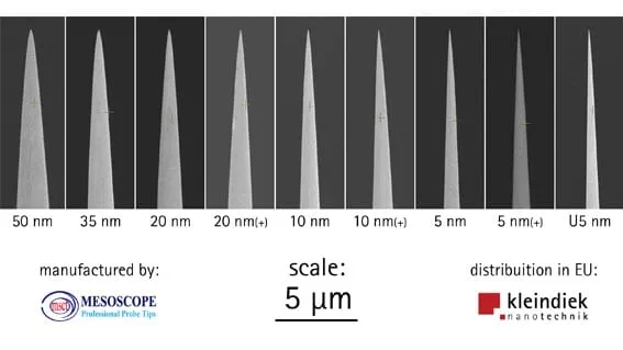SEM images of nine Mesoscope tungsten probe tips at radii from 50 nm to 5 nm, shown against a 5 µm scale bar.