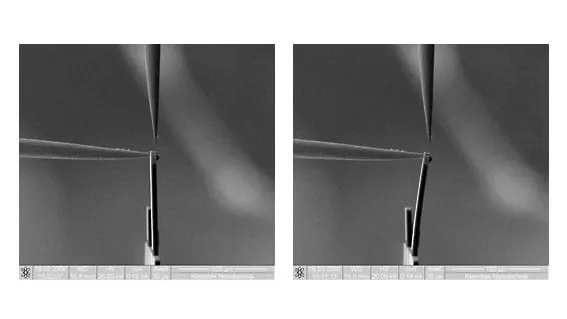 SEM image of two nanoindentation marks, annotated with measured diameters of 449.17 nm and 442.89 nm.
