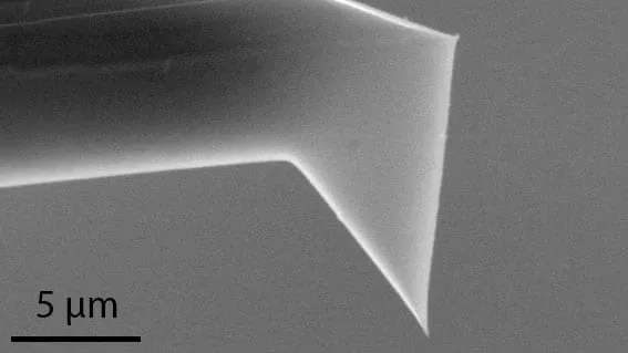 SEM close-up of the FMT-120 sensor tip, tapering to a sub-20 nm point.