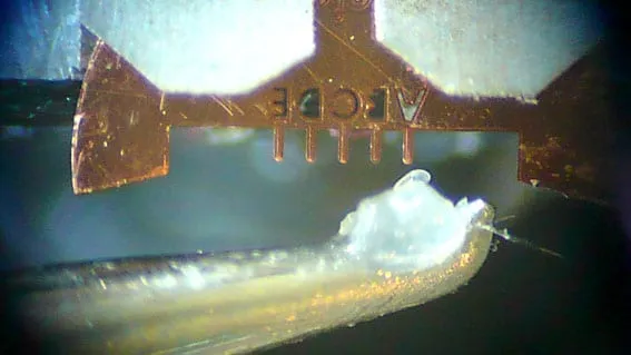 Optical micrograph looking through a copper TEM grid frame at a glue droplet held on the tip of a probe below it.